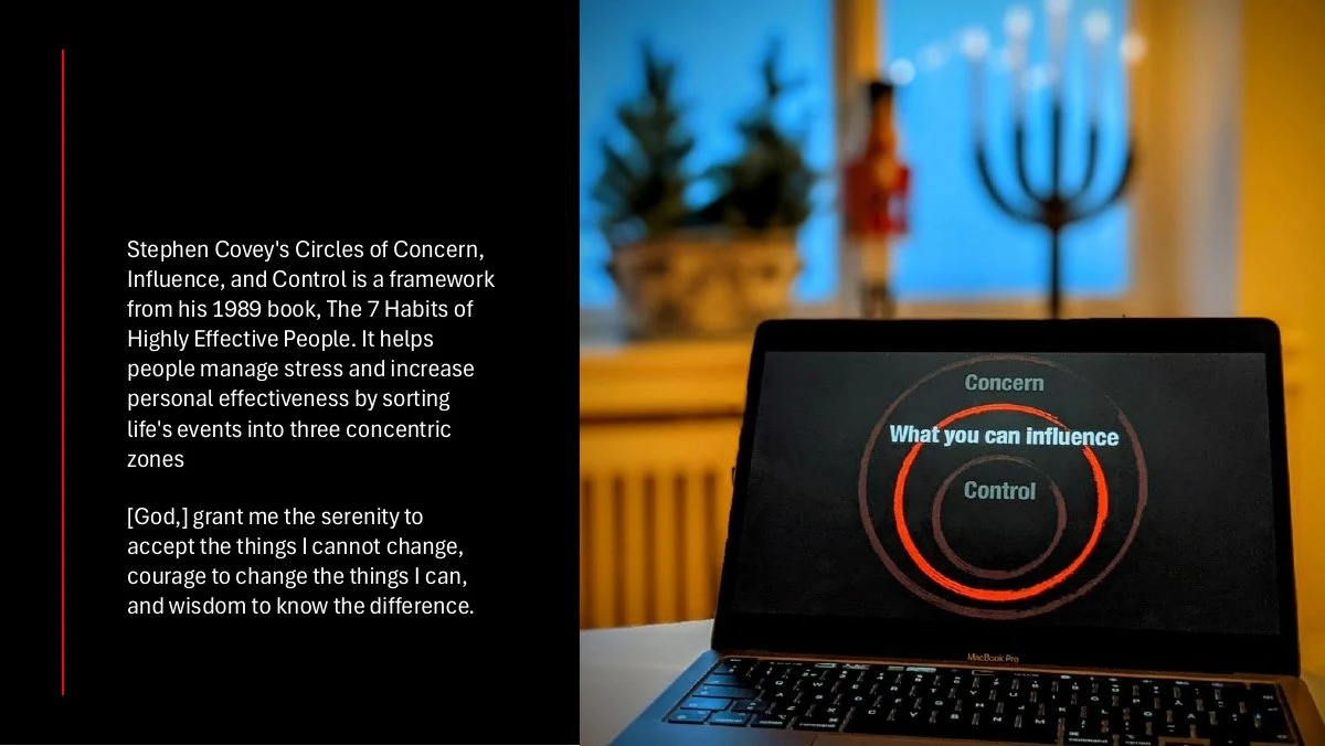 The session's illustration of concern, influence and control.